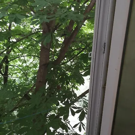 у моря лузановка *