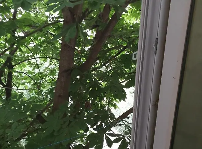 у моря лузановка *